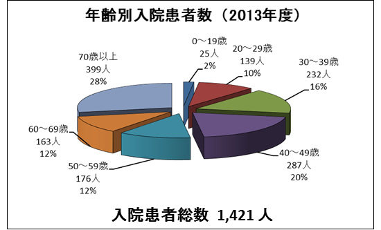 年齢別の入院患者割合(2013年度)